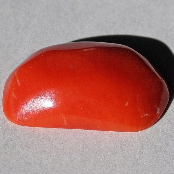 Corallo rosso