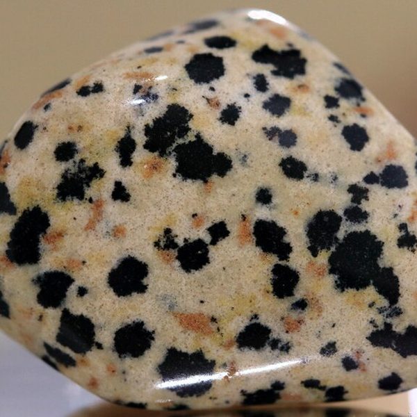 Diaspro dalmata