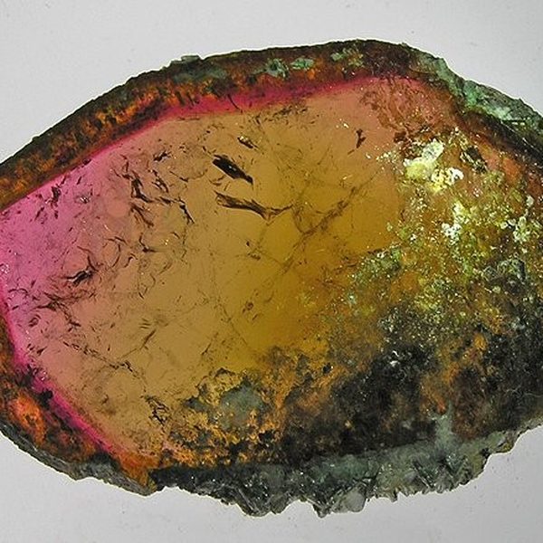 Tormalina anguria